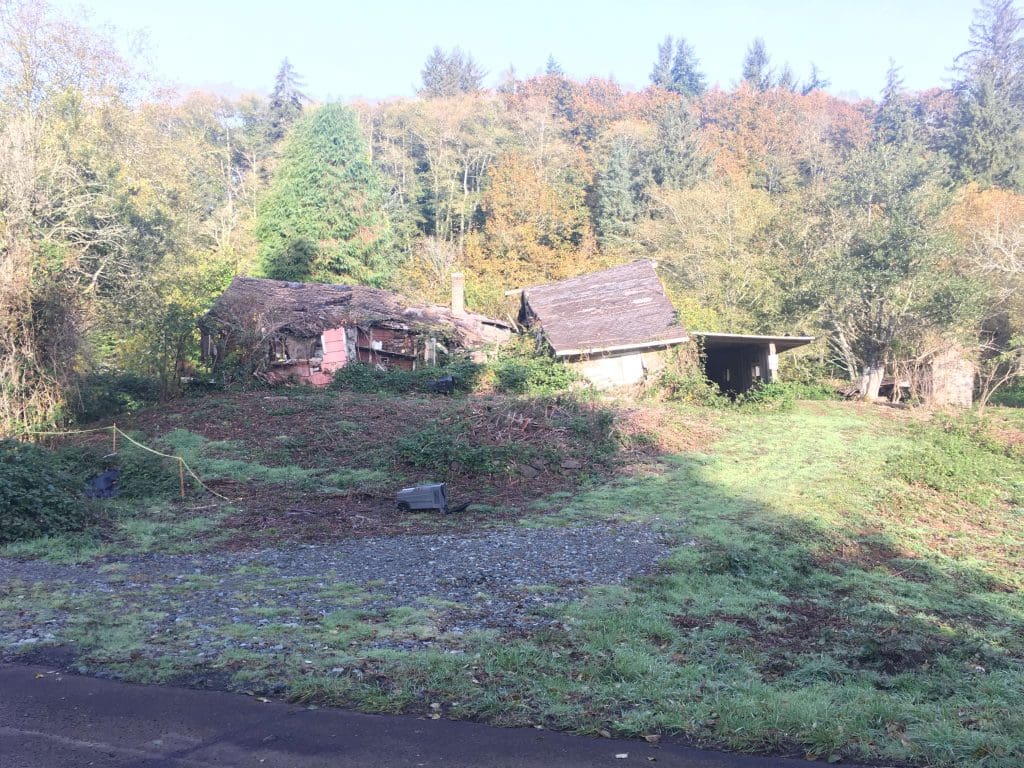 Oct 23 2019 Fall Colors